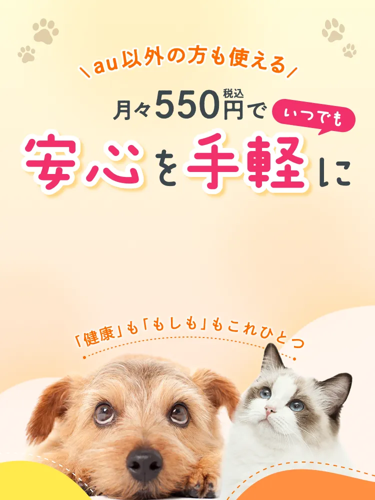 auわんにゃんサポート auわんにゃんサポート